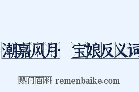 潮嘉风月·宝娘反义词是什么意思的图片